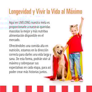 Livelong Healthy & Strong Alimento Natural Húmedo para Perro Todas las Edades Receta Salmón/Camote, 354 g