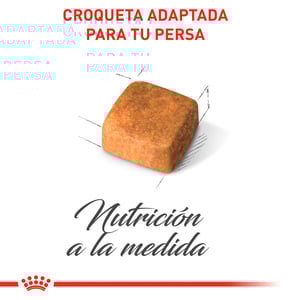 Royal Canin Alimento Seco para Gatito Persa Receta Pollo, 1.3 kg