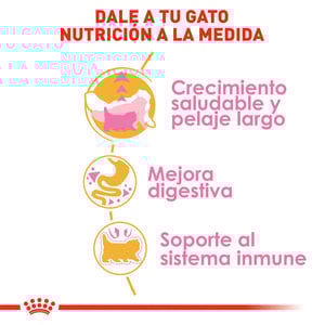 Royal Canin Alimento Seco para Gatito Persa Receta Pollo, 1.3 kg