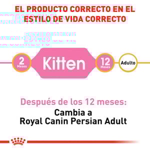 Royal Canin Alimento Seco para Gatito Persa Receta Pollo, 1.3 kg