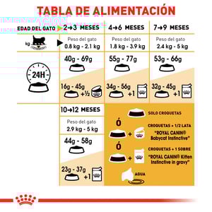 Royal Canin Alimento Seco para Gatito Persa Receta Pollo, 1.3 kg