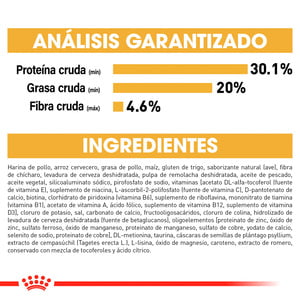Royal Canin Alimento Seco para Gatito Persa Receta Pollo, 1.3 kg