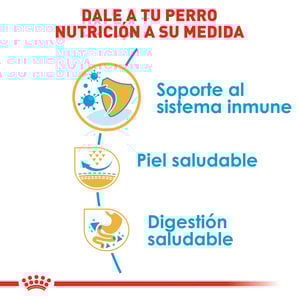 Royal Canin Alimento Seco para Cachorro Raza Pug, 1.1 kg