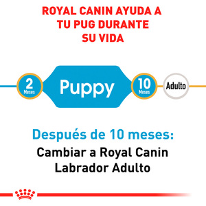 Royal Canin Alimento Seco para Cachorro Raza Pug, 1.1 kg