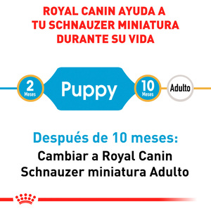 Royal Canin Alimento Seco para Cachorro Raza Schnauzer Miniatura, 1.1 kg