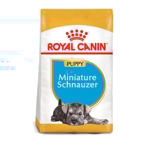 Royal Canin Alimento Seco para Cachorro Raza Schnauzer Miniatura, 1.1 kg Royal Canin Alimento Seco para Cachorro Raza Schnauzer Miniatura, 1.1 kg