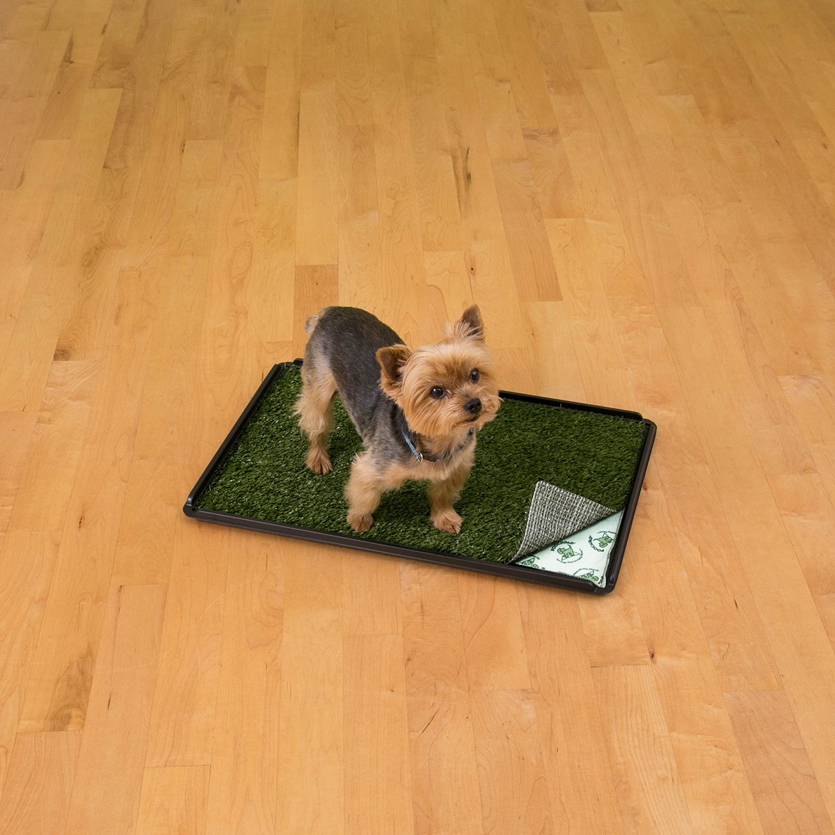 Pooch Pad Products Sistema Plus Tapete Absorbente con Charola y Pasto para Perro, Unitalla