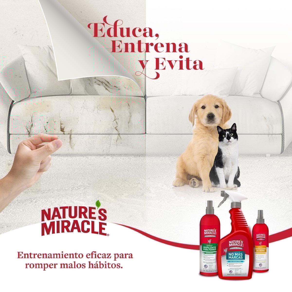 Nature's Miracle Atrayente para Perro, 473 ml Petco Mexico