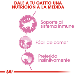 Royal Canin Alimento Húmedo para Gatito Hasta los 12 Meses, 145 g