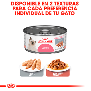 Royal Canin Alimento Húmedo para Gatito Hasta los 12 Meses, 145 g
