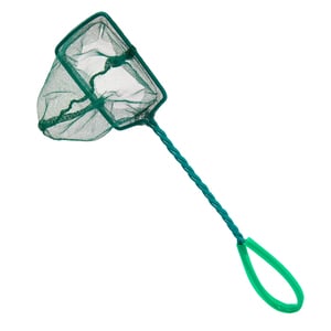 Boyu Red para Acuario, Chico Boyu Red para Acuario, Chico