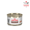 Royal Canin Veterinary Diet Alimento Húmedo Gastrointestinal Alto en Energía para Gato Adulto, 145 g