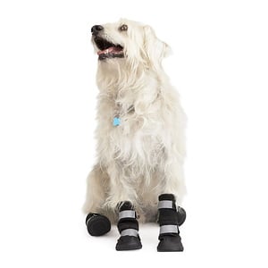 Youly Botas Todo Terreno Color Negro para Perro, Mediano