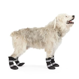 Youly Botas Todo Terreno Color Negro para Perro, Mediano