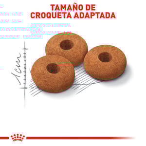 Royal Canin Control de Apetito Alimento Seco para Gato Adulto Esterilizado Receta Pollo, 6.3 kg