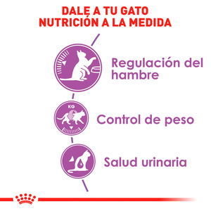 Royal Canin Control de Apetito Alimento Seco para Gato Adulto Esterilizado Receta Pollo, 6.3 kg
