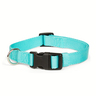 Good2Go Collar de Nylon Color Turquesa con Broche para Perro, Chico Good2Go Collar de Nylon Color Turquesa con Broche para Perro, Chico