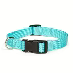 Good2Go Collar de Nylon Color Turquesa con Broche para Perro, Mediano Good2Go Collar de Nylon Color Turquesa con Broche para Perro, Mediano