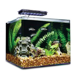 Imagitarium Aqua Kit de Acuario de Escritorio para Peces, 25 L Imagitarium Aqua Kit de Acuario de Escritorio para Peces, 25 L