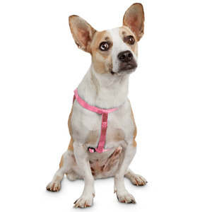 Youly Arnés Confort de Nylon Ajuste Romano Color Rosa para Perro, Chico Youly Arnés Confort de Nylon Ajuste Romano Color Rosa para Perro, Chico