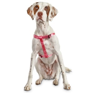 Youly Arnés Confort de Nylon Ajuste Romano Color Rosa para Perro, Mediano Youly Arnés Confort de Nylon Ajuste Romano Color Rosa para Perro, Mediano