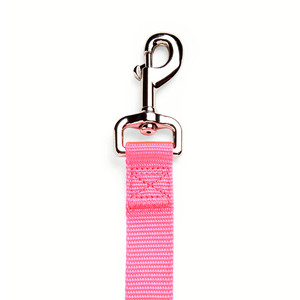 Youly Correa Lisa de Nylon Color Rosa para Perro, 1.8 m