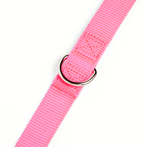 Youly Correa Lisa de Nylon Color Rosa para Perro, 1.8 m