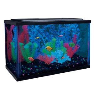 Glofish Kit de Acuario con Luz Led y Filtro Incluido para Peces, 18.9 L Glofish Kit de Acuario con Luz Led y Filtro Incluido para Peces, 18.9 L