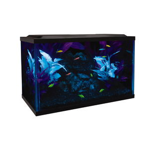 Glofish Acuario Glo Kit para Peces, 37.8 L