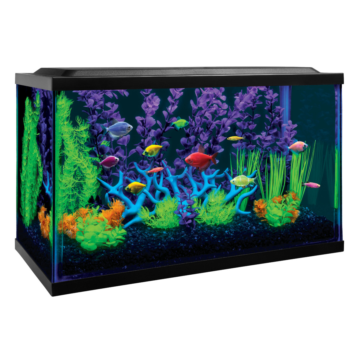 Glofish Acuario Glo Kit para Peces, 37.8 L