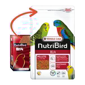 Versele-Laga NutriBird B14 Alimento Balanceado para Periquitos, 800 g Versele-Laga NutriBird B14 Alimento Balanceado para Periquitos, 800 g