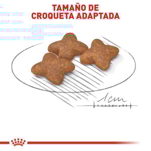 Royal Canin Alimento Seco para Perro Adulto Raza Pequeña, 2 kg
