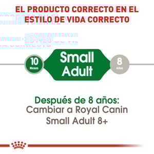 Royal Canin Alimento Seco para Perro Adulto Raza Pequeña, 2 kg