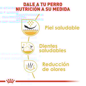 Royal Canin Alimento Seco para Perro Adulto Raza Shih Tzu, 4.5 kg