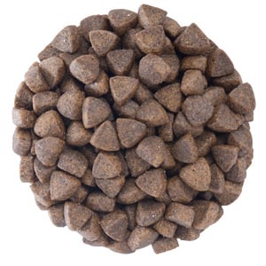 Tiër Holistic Alimento Natural para Gato Adulto Receta Pescado, 2 kg