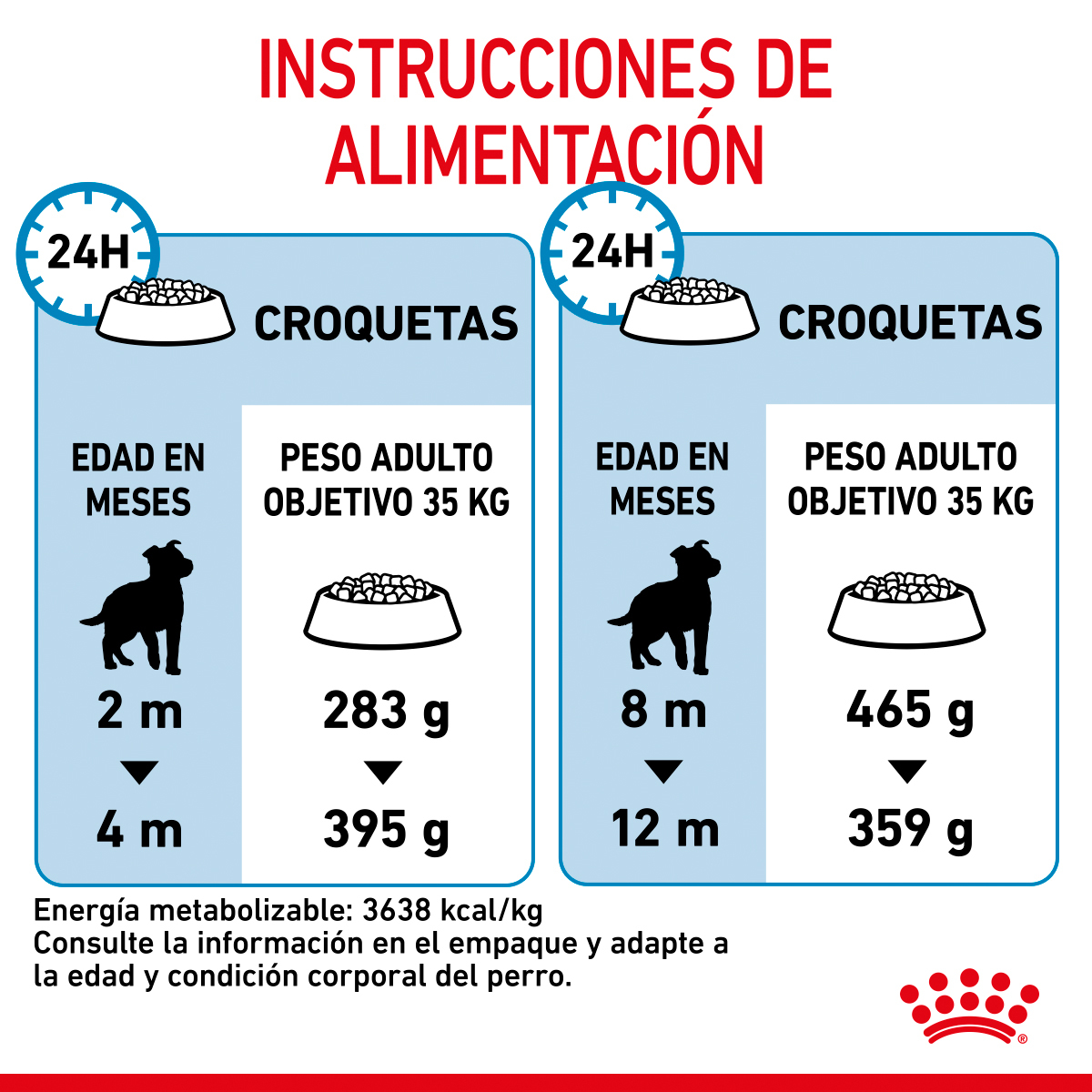 Royal Canin Ragdoll - Comida Gatos Adultos Raza Ragdoll, 400 G, Croquetas Adaptadas, Piel Y Pelo Sano