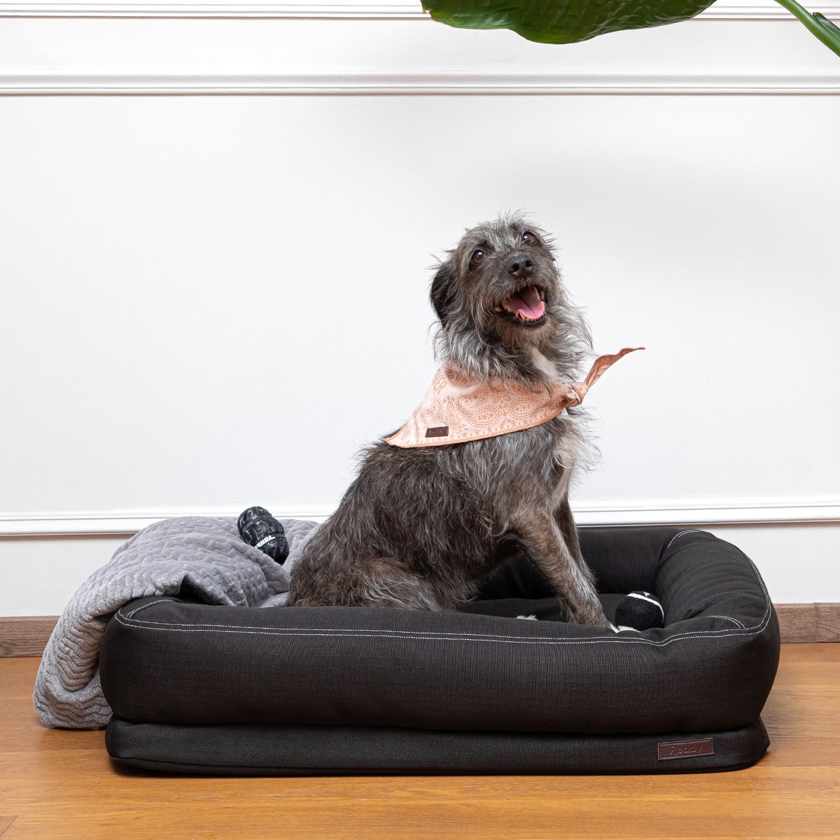 Husky Perro Rompe Sillon Reddy Cama Rectangular Resistente Con