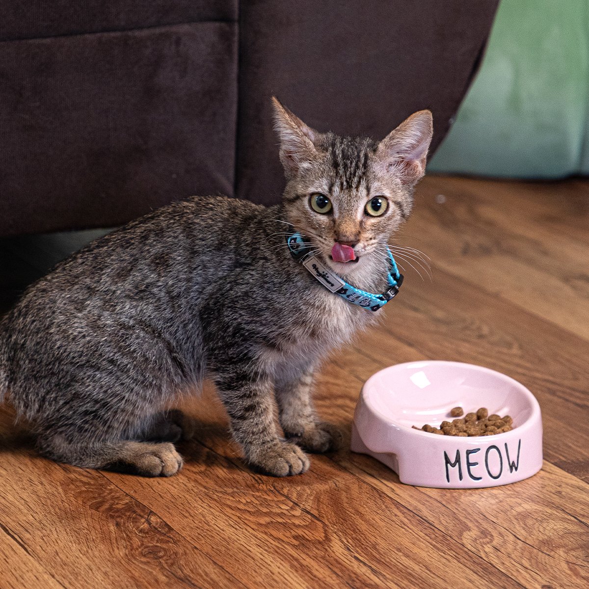 Pet Rageous Tazón de Cerámica Slow Feed Rosa para Gato, 1/2 Taza