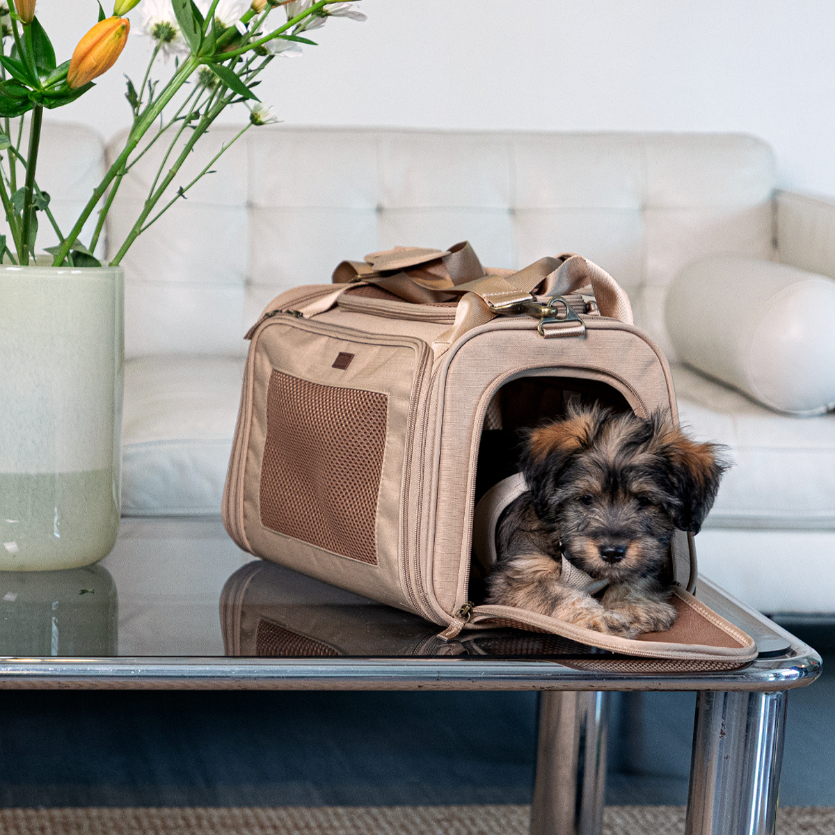 Reddy Transportadora Deluxe de Tela para Perro o Gato Petco Mexico