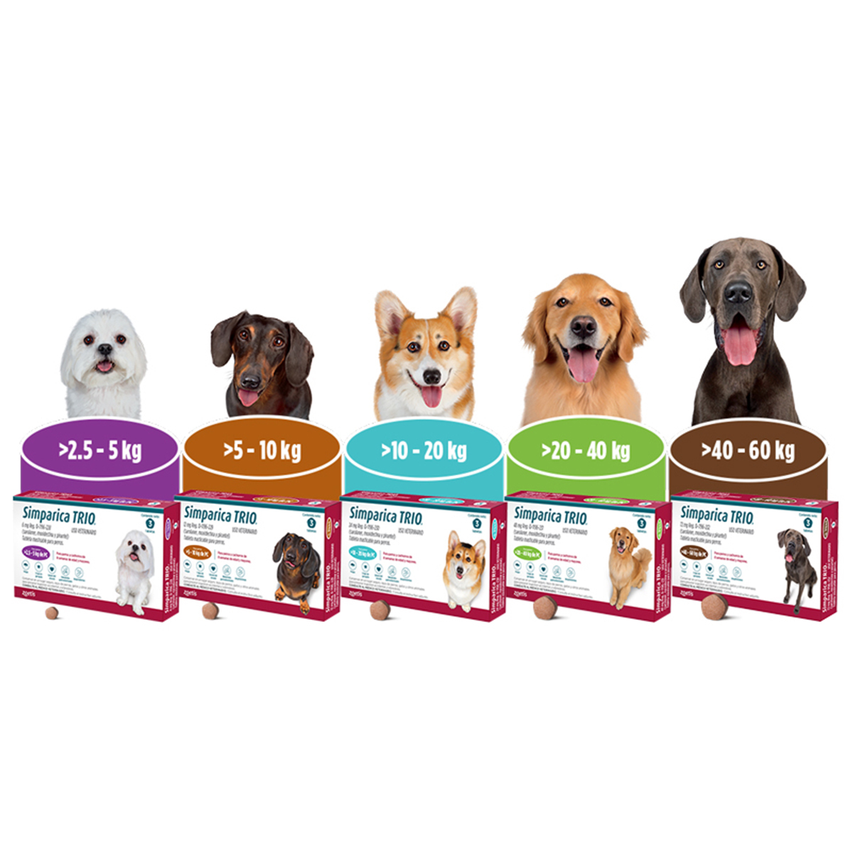 Simparica Trio Masticable Desparasitante Externo e Interno para Perro ...
