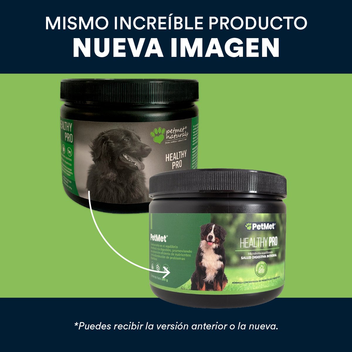 Petmet Healthy Pro Complemento Nutricional con Probióticos y Prebióticos para Perro, 300 g