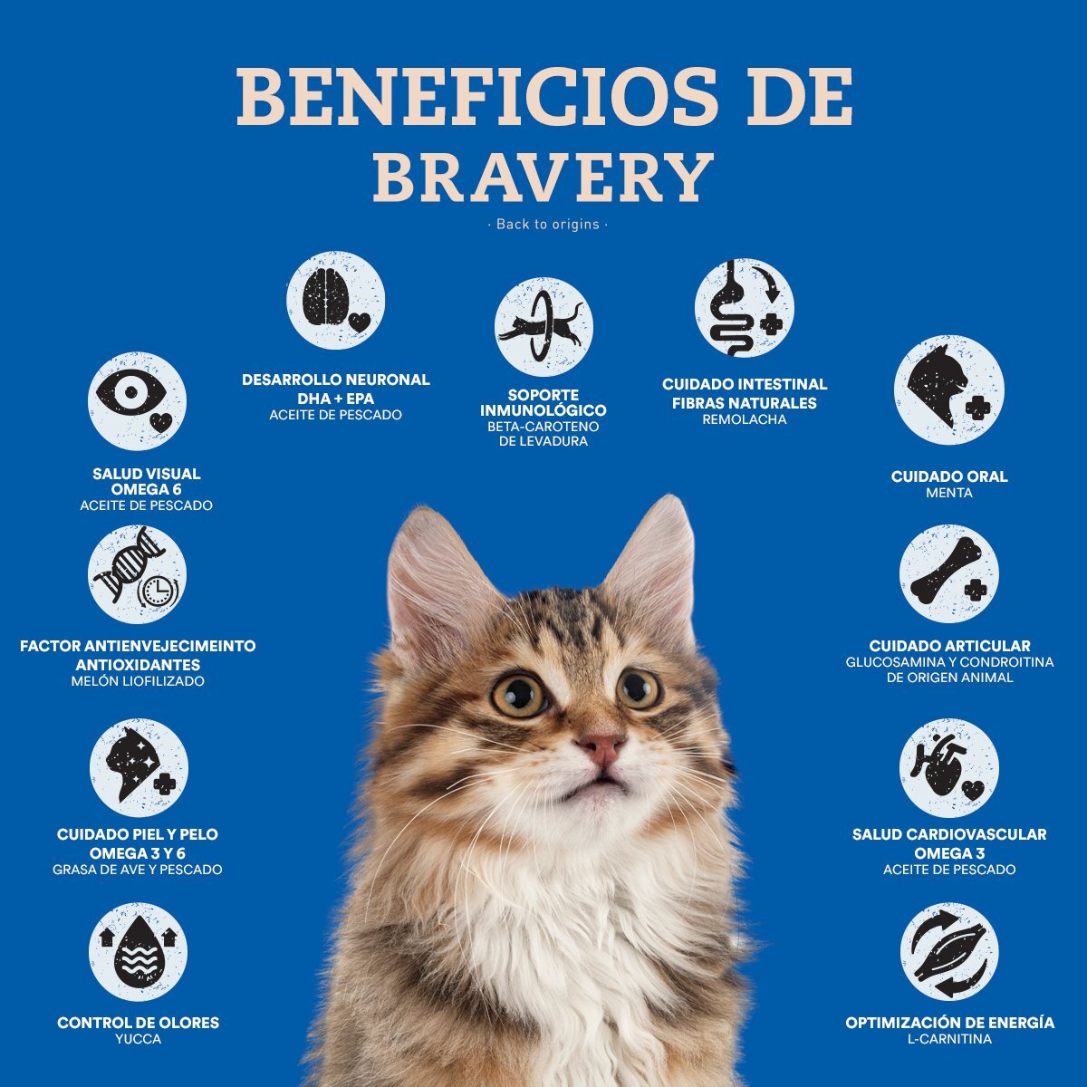 Bravery Alimento Seco Natural Libre de Granos para Gato Adulto Receta Salmón, 2 kg