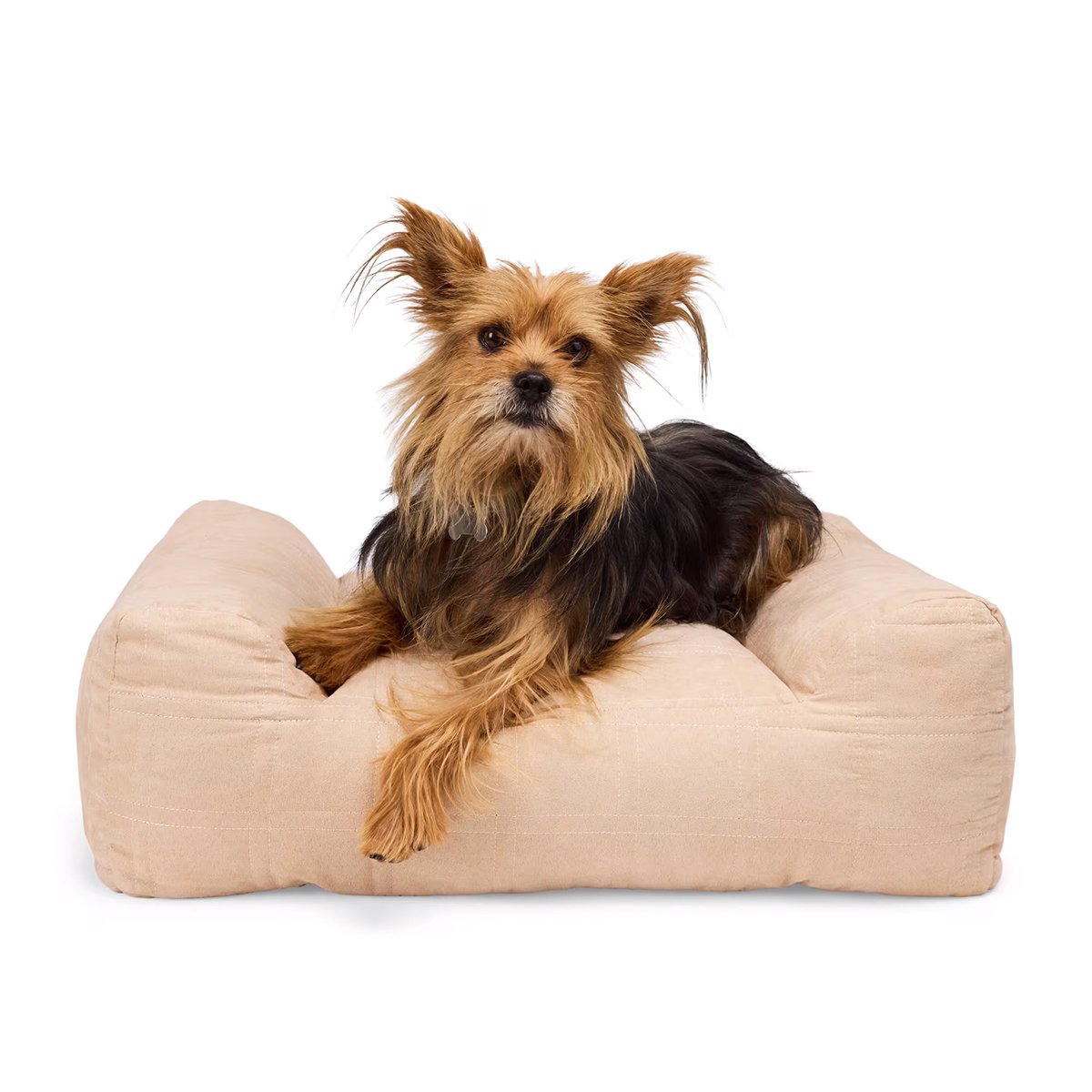 EveryYay Cama Ortopédica Tipo Sillón Color Café para Perro, Chico