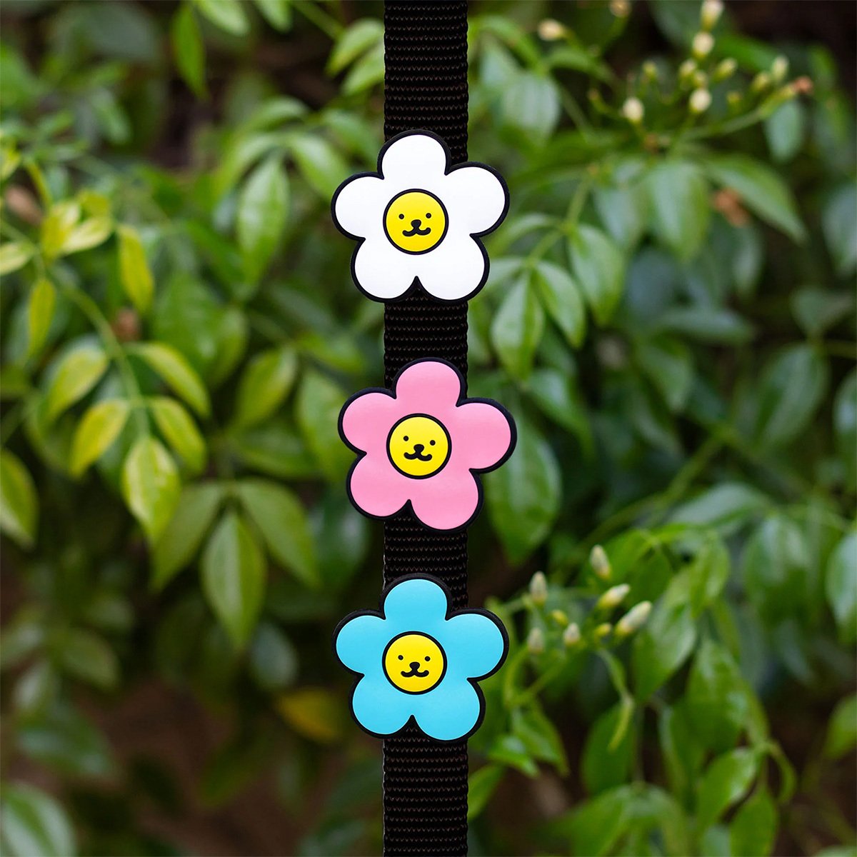Jiby 3 Charms para Personalizar Arnés Collar o Correa Diseño Margaritas, 1 Paquete