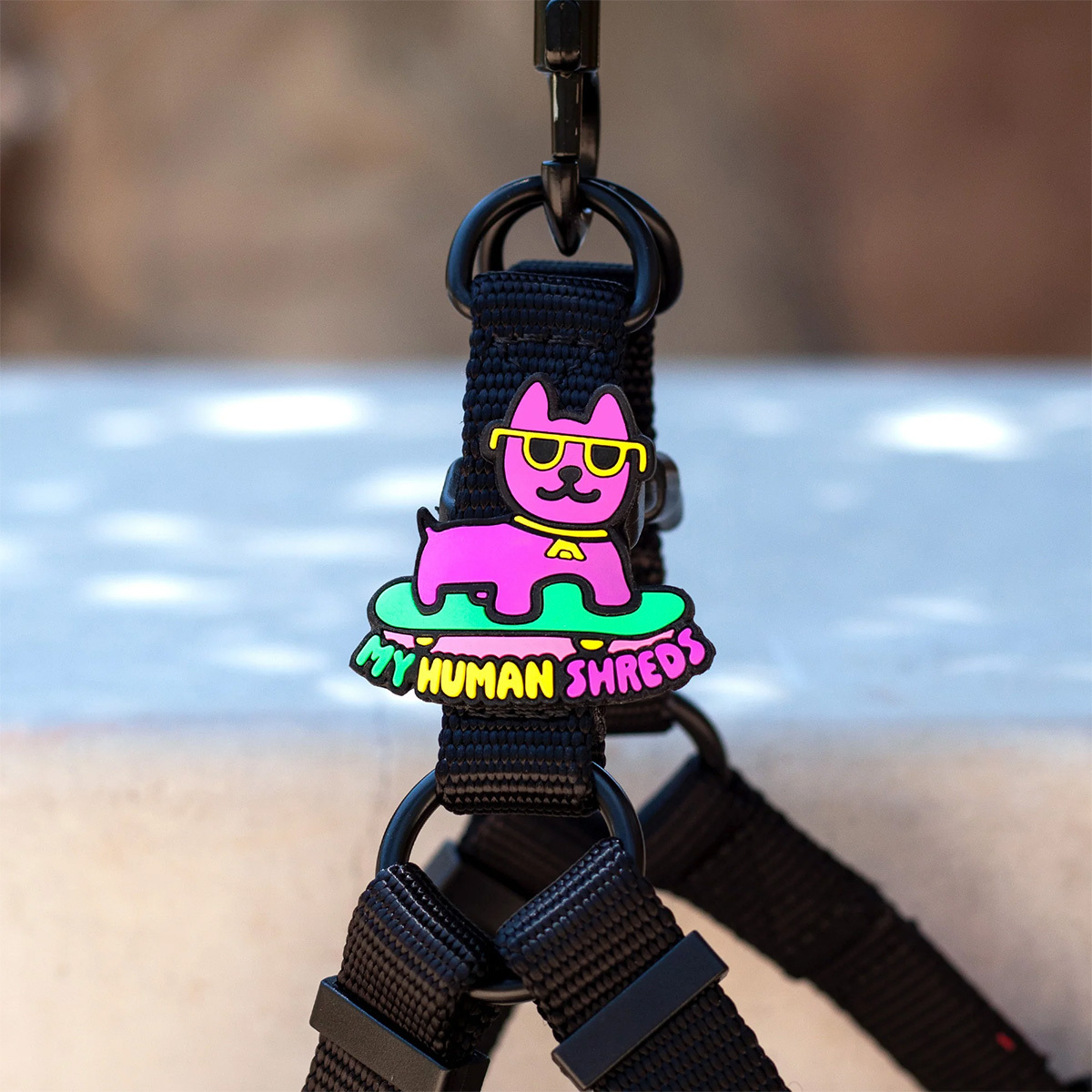Jiby Charm para Personalizar Arnés Collar o Correa Diseño Perrito en Patineta, 1 Pieza