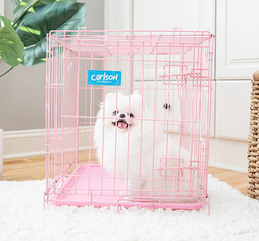 Carlson Jaula de Entrenamiento Plegable de Acero Rosa 1 Puerta con Doble Seguro para Perro, Chico