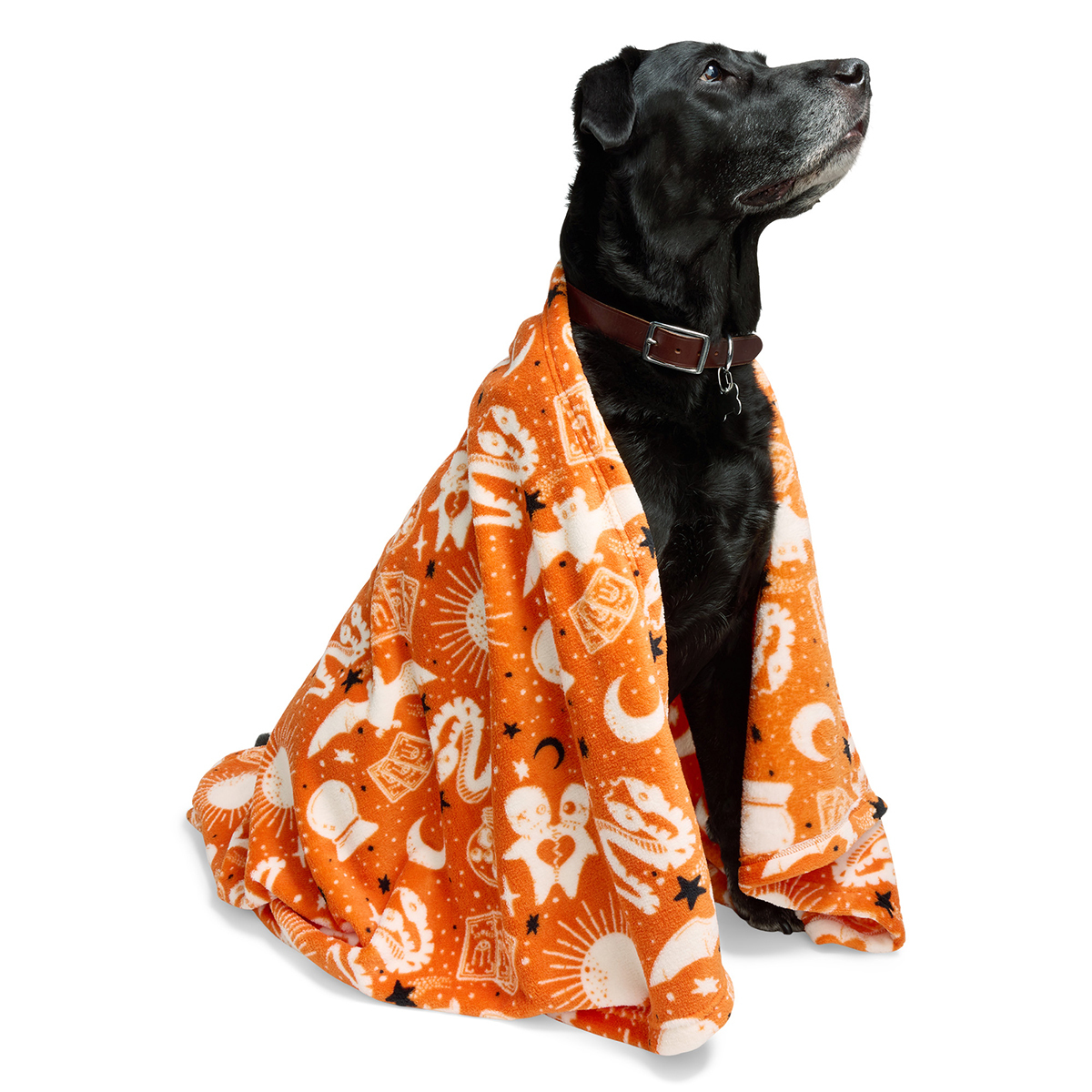 Bootique Halloween Cobija de Felpa Estampado de Hechizos para Perro, Unitalla
