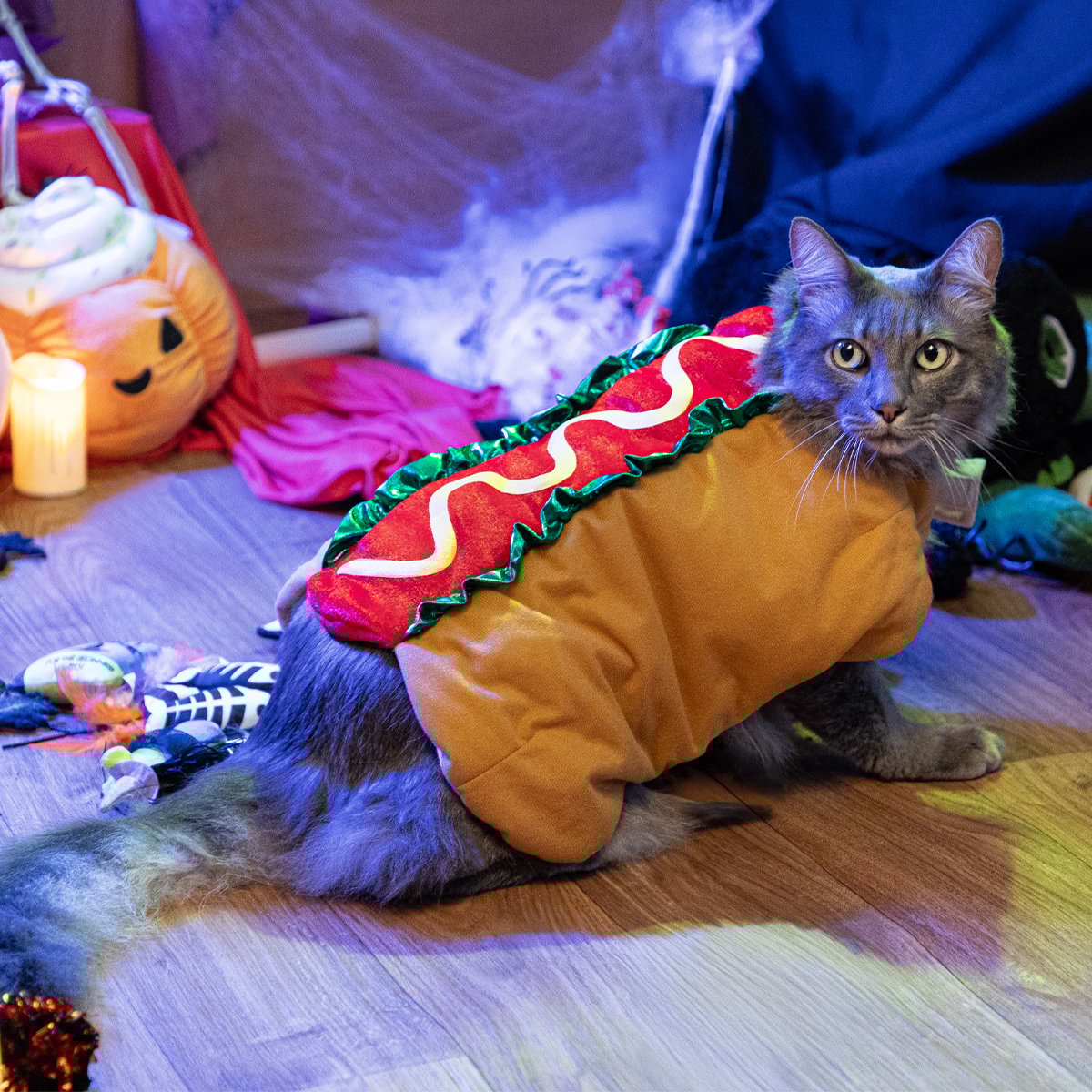 Bootique Halloween Disfraz Hot Dog para Perro, Mediano