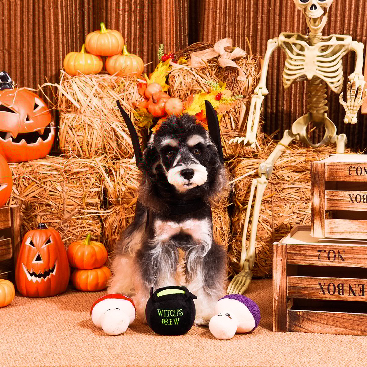 HugSmart Halloween Set de Peluches Diseño Poción de Hongos para Perro, Chico