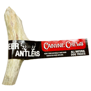 Canine Chews Masticable Asta Natural de Venado 6" para Perro, 1 Pieza